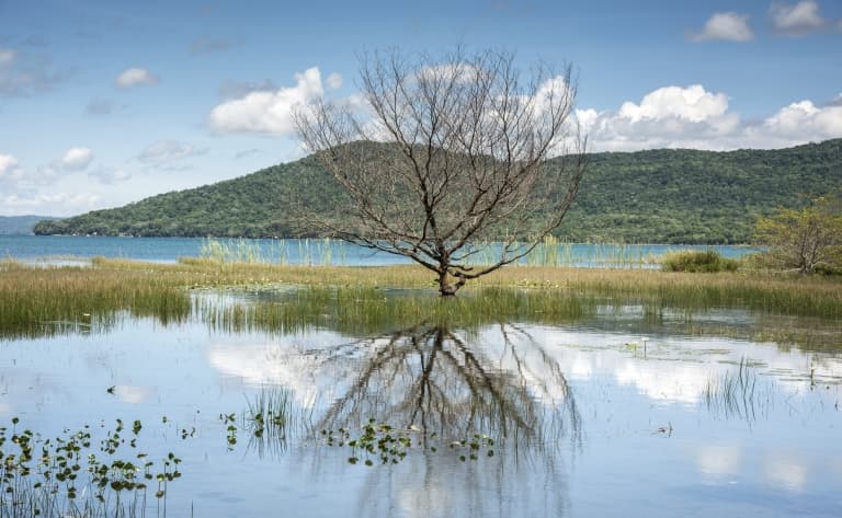 Une île au milieu de la jungle…