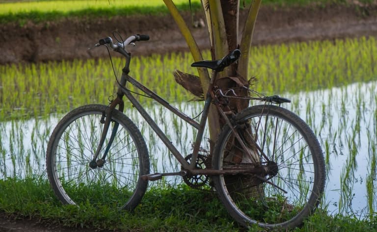 Vélo Ubud