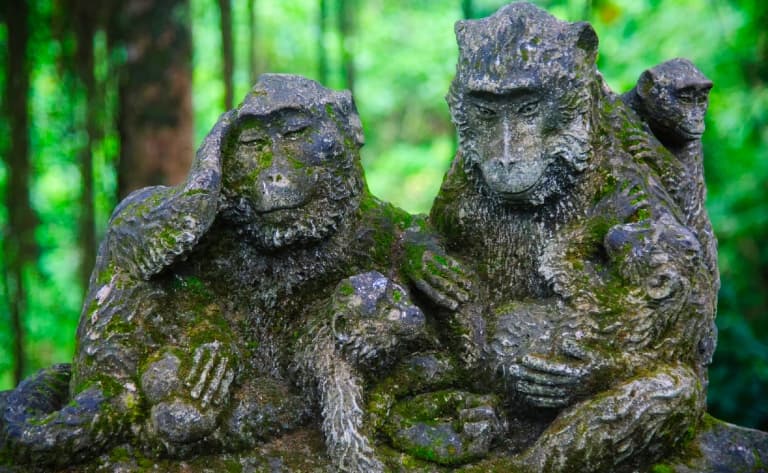 Danses du Kriss et du Barong, artisans, palais royal et forêt des singes