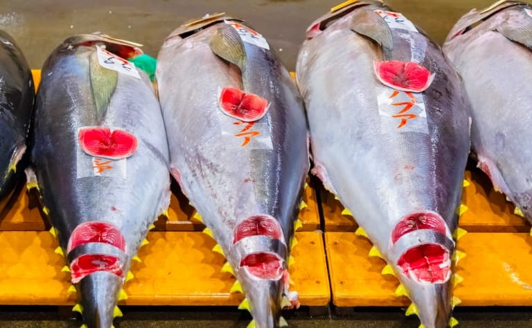 Cours de sushis et promenade dans le marché aux poissons de Tsukiji