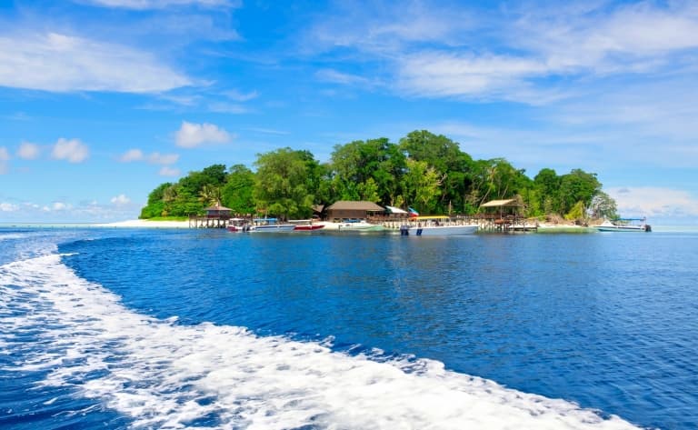 Excursion en bateau sur l’île de Pulau Dayang Bunting