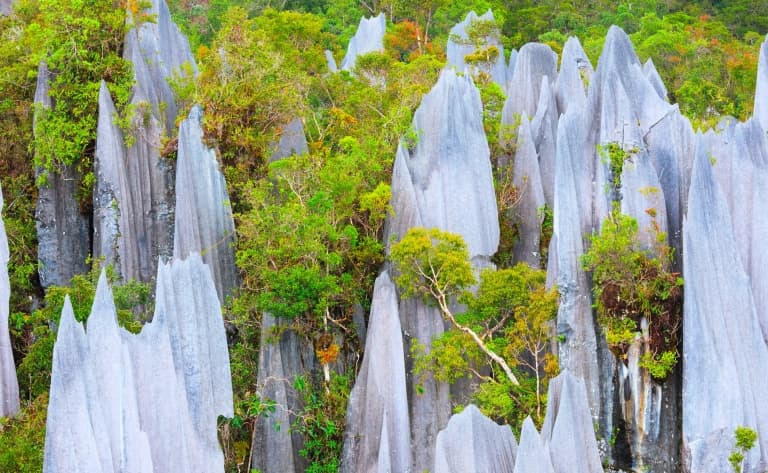 Le Parc National de Mulu