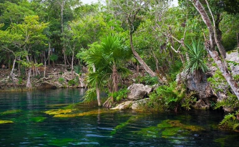 Cenote Xcanche