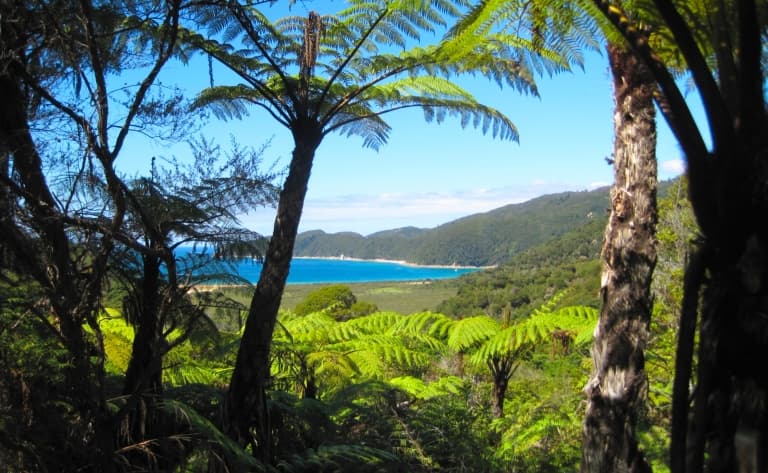 Premiers pas sur l’Ile du Sud
