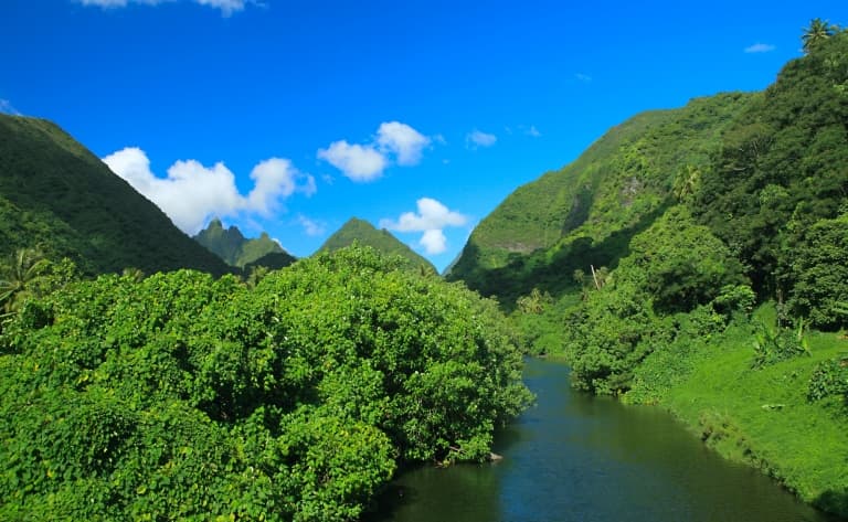 Excursion en pirogue sur la rivière de Faaroa et au Marae Taputapuatea