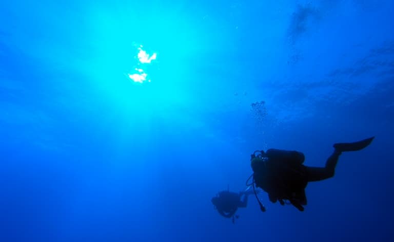 Observation sous-marine à la passe Tiuta en plongée libre