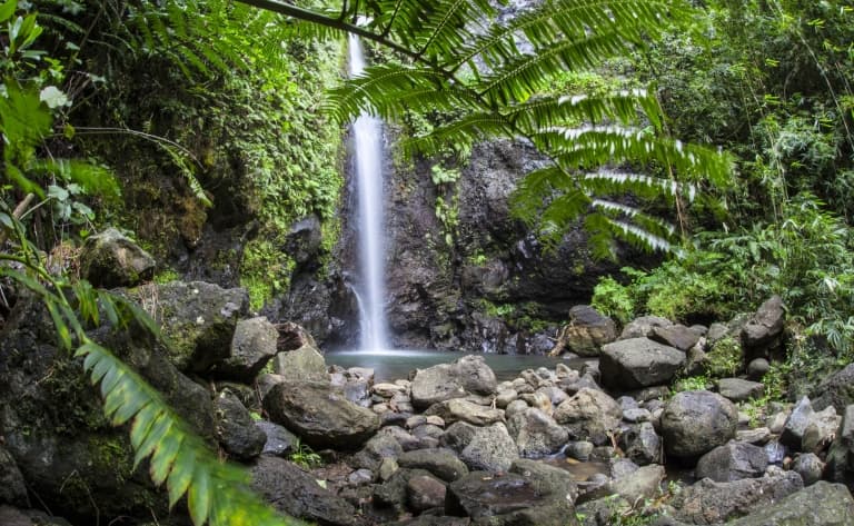 Randonnée pédestre pour les cascades