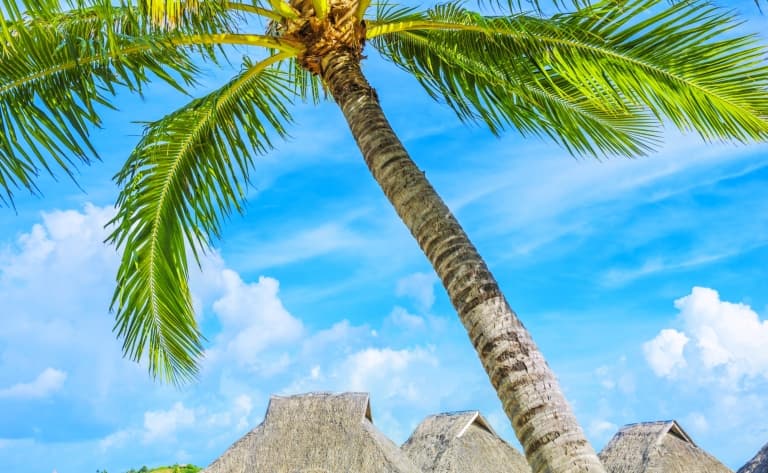 Hotel Hiva Oa