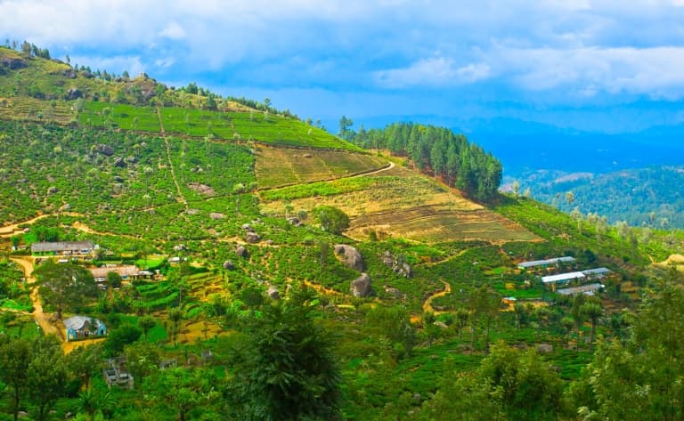 Visite du village d'Hiriwaduna