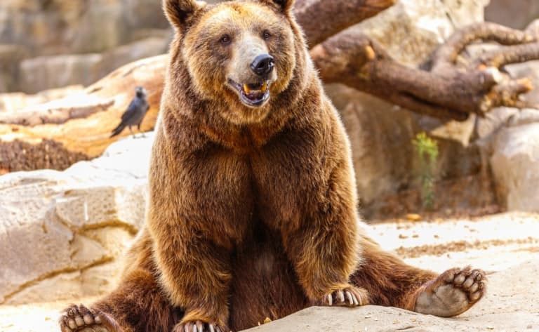 Zoo à Los Angeles