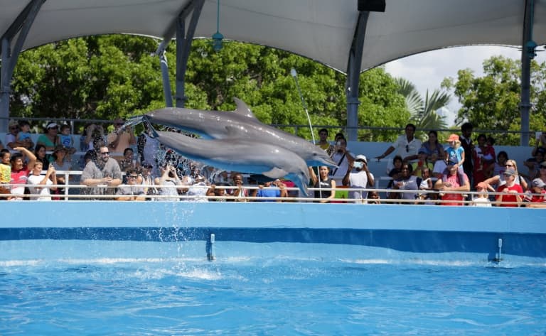 Visite du Miami Seaquarium