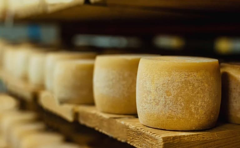 Visite d'une fabrique de fromages à Chugchilan