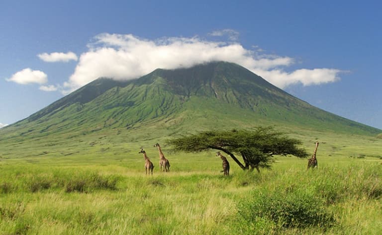 A la découverte d’Amboseli