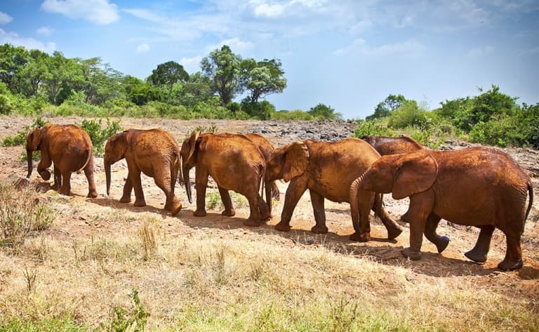 Grande journée de safari dans l’immensité de la réserve