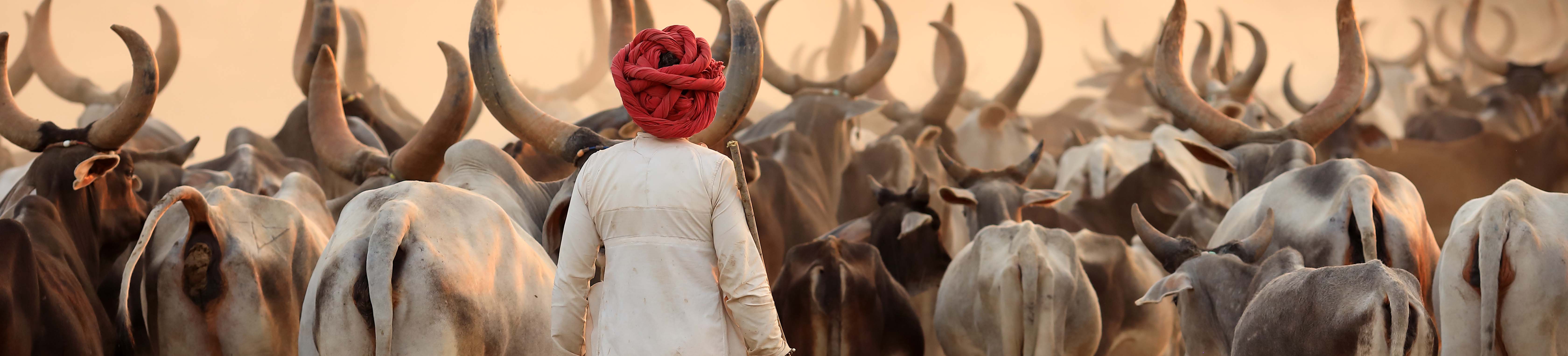 Les traditions de l’Inde et leur importance dans la vie quotidienne