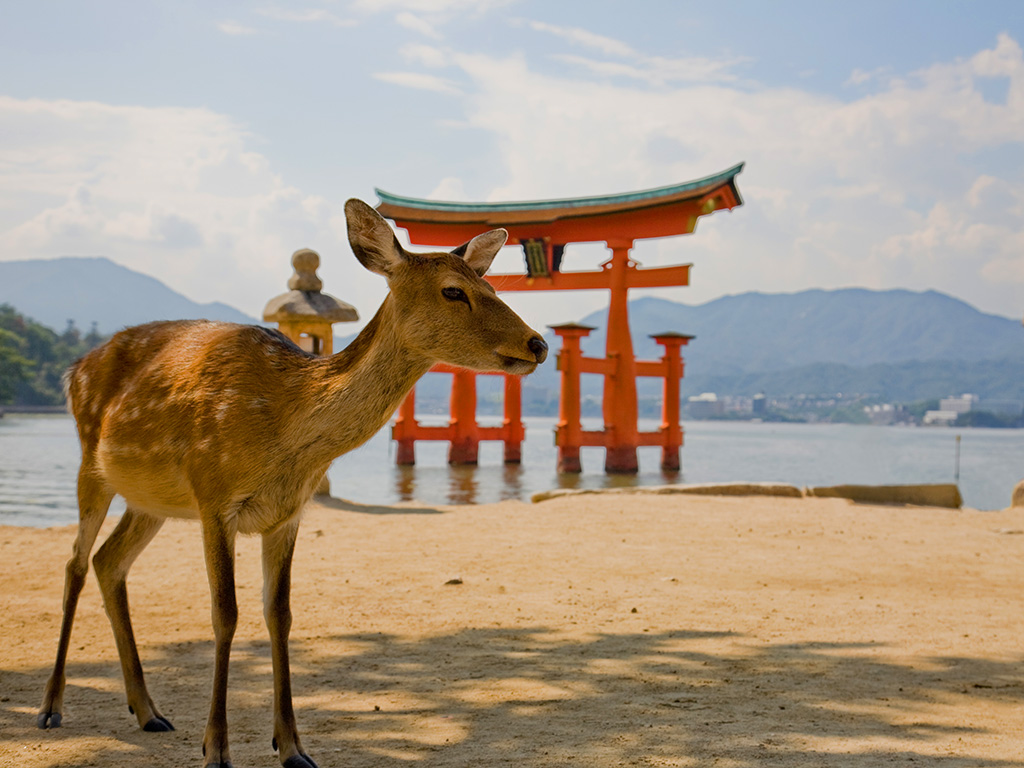 Japon : Une estampe du Soleil Levant